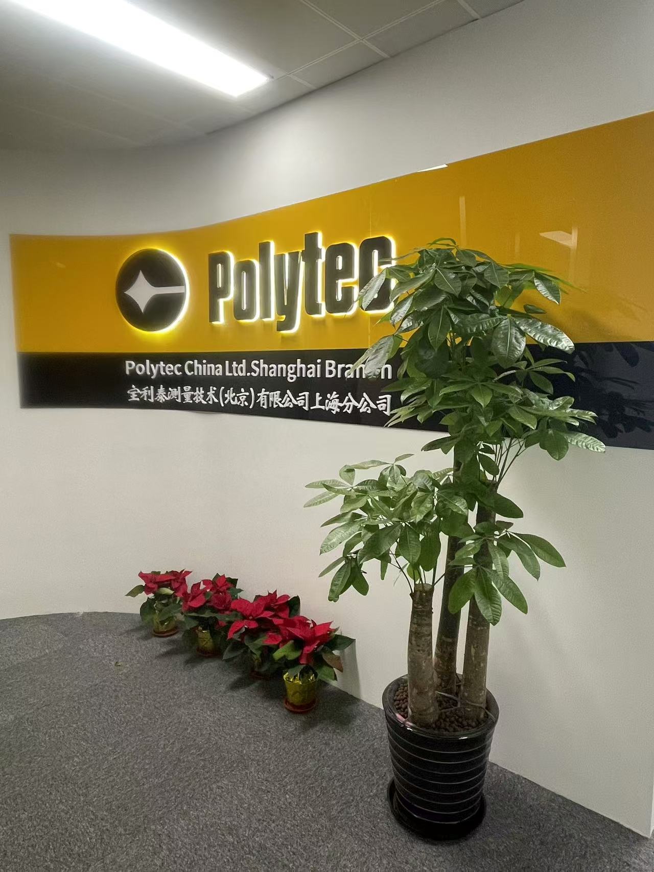 上海分公司正式開業！新征程啟航，邀您共襄盛舉。璀璨開幕，見證輝煌！